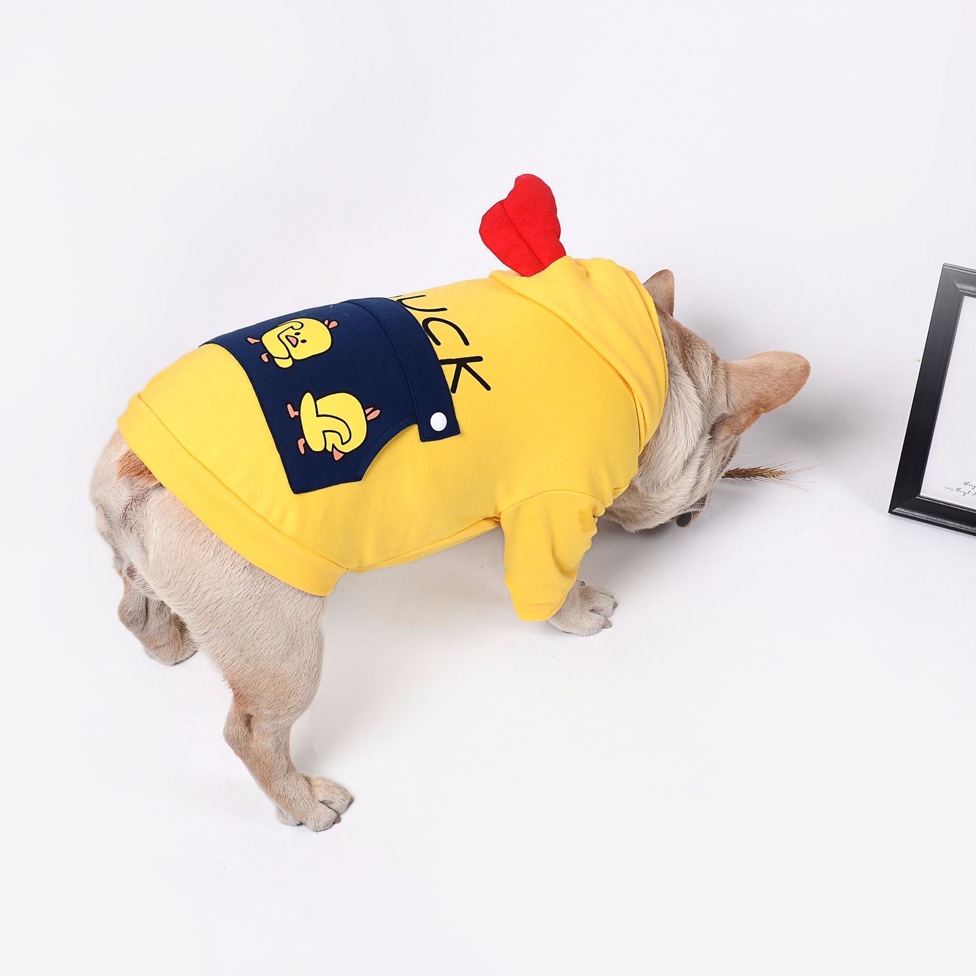 b9c3b0d8e446c224e5512f899a8effc2