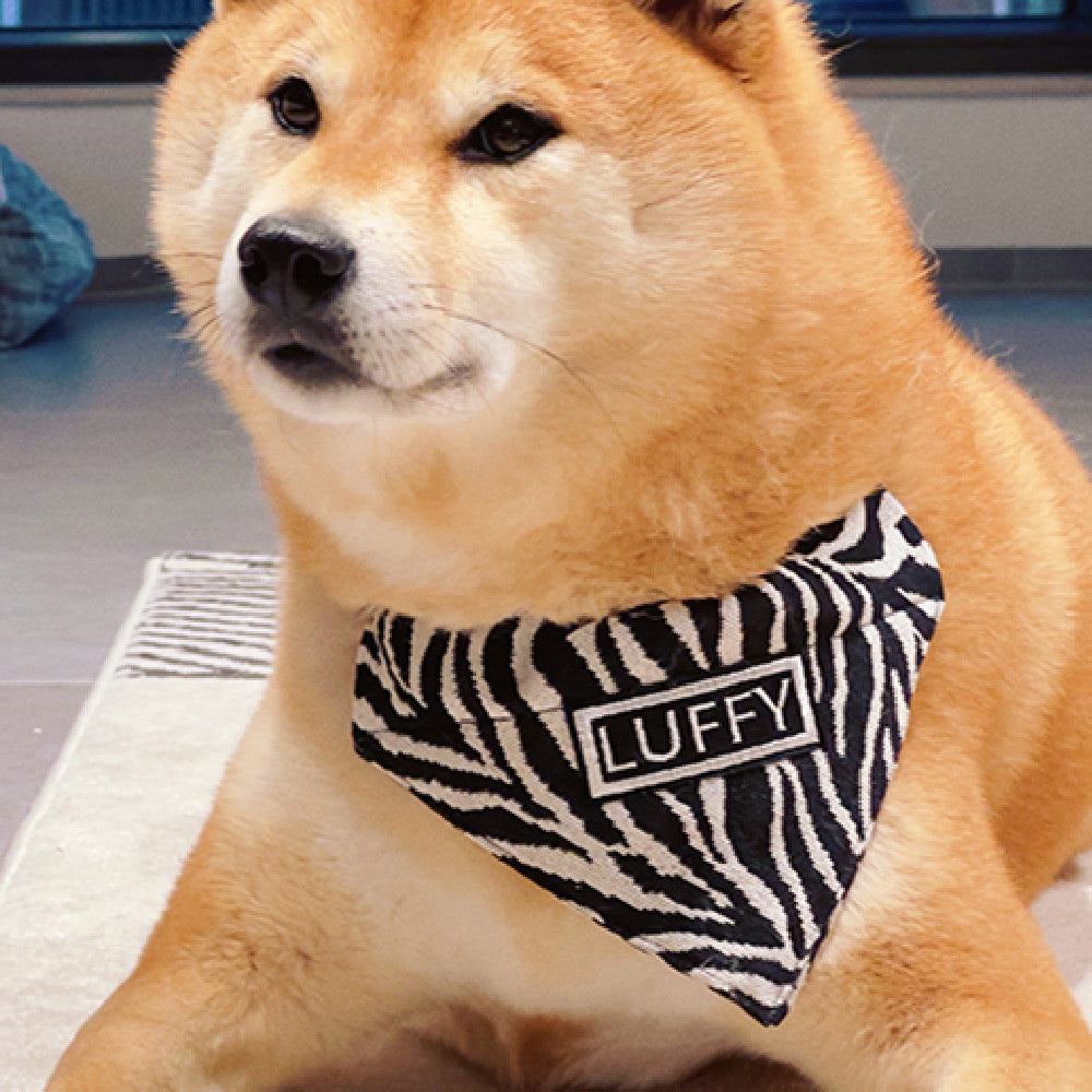d6571cbdf50bc7ee4abcada7c6fd55e3
